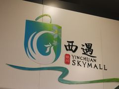 -银川河东国际机场