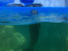 -多彩贵州城极地海洋世界