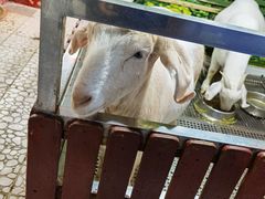 -上海大自然野生昆虫馆(东方明珠·爬宠昆虫探索中心)