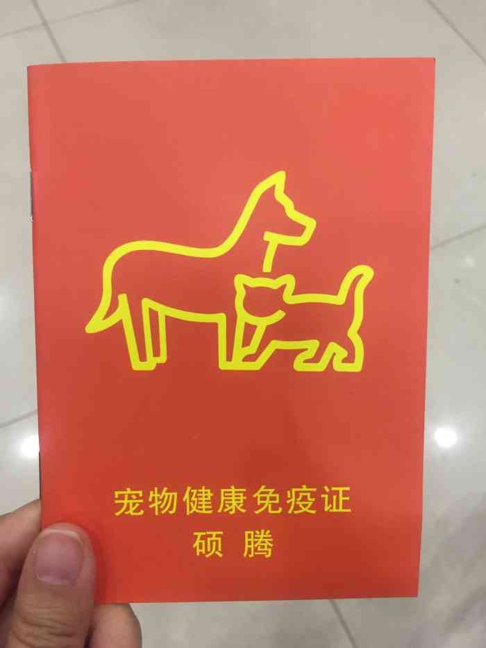 打分 350 /人 收养的流浪猫做驱虫,年轻女店主,很专业哦,店里环境很不