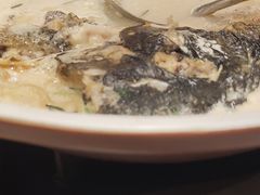 -耕渔小院·湖南鱼鲜(望城店)