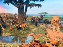 -国家自然博物馆