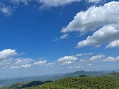 -蔡伦竹海