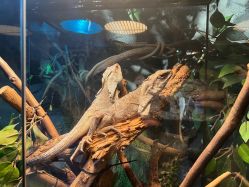 -Zoolung Zoolung动物主题公园(海信广场店)