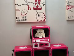 -静宜和她的朋友(星海广场店)