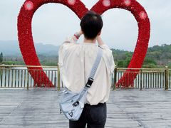 -田野绿世界