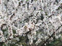 -杭州城北体育公园