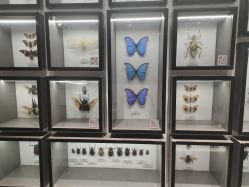 -酷嗒动物文化乐园(cutezoo西溪乐天城店)