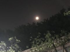 -顺德哥卜卜贝(旗舰店)