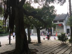 -小洲村
