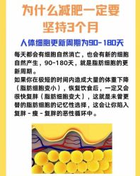 -Fundi张玉珊修身堂·indiba·BTL科技瘦身