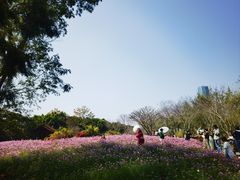 -厦门园林博览苑