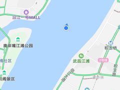 -武汉关码头(轮渡站)