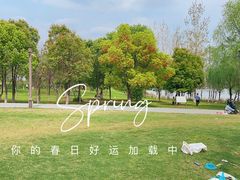 -盘龙城国家考古遗址公园