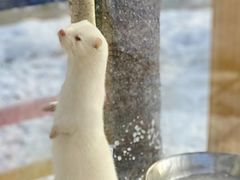 -延边丰茂串城(东三店)