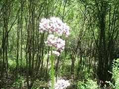 -四门塔风景区