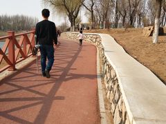 -丁香湖公园