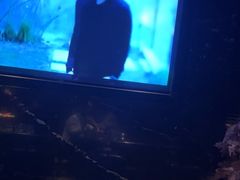 -黑桃K生日订制KTV