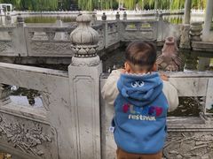 -丰台花园