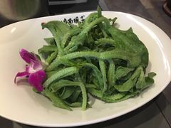 -川西坝子(老军营店)