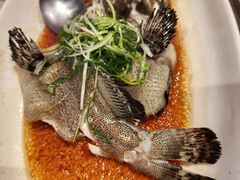 -金翠皇宫粤菜·点心·海鲜(翡翠店)