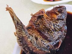 挣蹦鲤鱼-奥华餐厅·老张记(台基厂店)