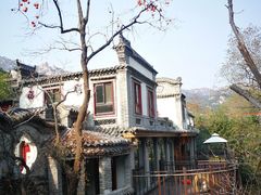 -老张烤羊(王哥庄店)