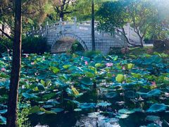 -惠州西湖丰渚园
