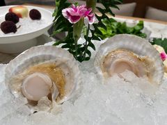 扇贝-大舜国风· 和牛火锅(绮霞街店)
