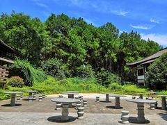 -铁山坪森林公园