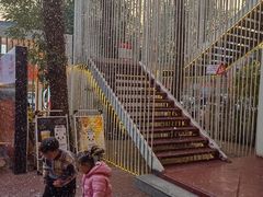 -二荆条·城市森林火锅旗舰店