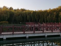 -河北省园博园