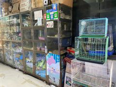 -青石桥花鸟鱼虫市场(叠翠城店)