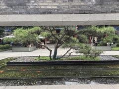 -庐灶江南·江南菜·四合院Bistro(东直门雍和宫·原华侨宾馆店)