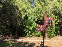 -云岗森林公园