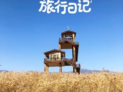 -野鸭湖国家湿地公园