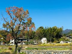 -塔川景区