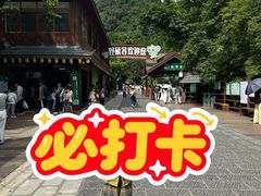 -野象谷景区