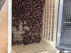 -粒上皇(淮河路步行街店)