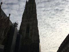 -斯蒂芬主教座堂(Stephansdom)