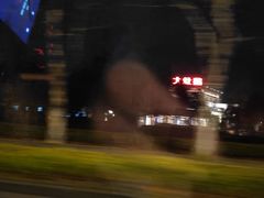 -大队长大灶鹅