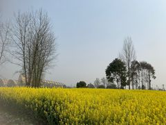 -中国天府农业博览园