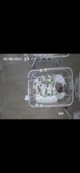 -吉林国健妇产医院(经开院区)