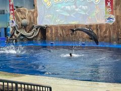 -华夏文旅海洋公园