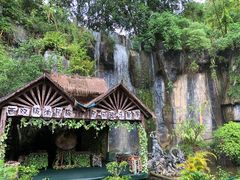 -西双版纳原始森林公园