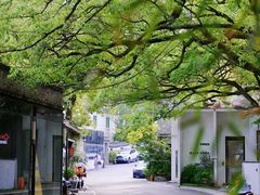 -凤凰御元艺术基地