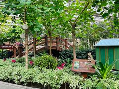 -南宫五洲植物乐园