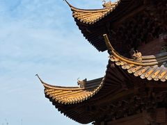 -观潮胜地公园