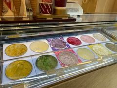 -哈根达斯(陆家浜路店)