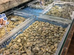 -汉拿山汤泉国际酒店